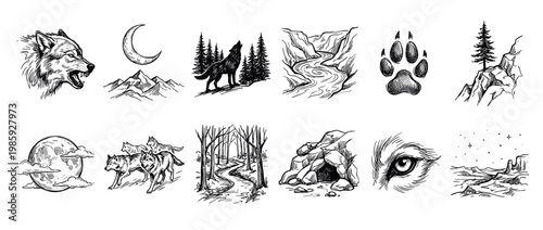 Collection of hand-drawn wolf and nature illustrations, featuring various wild animals, forest landscapes, celestial bodies, and rugged terrain in a detailed sketch art style