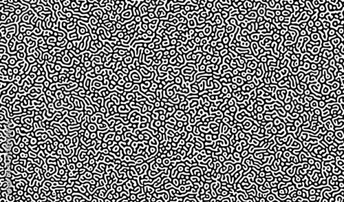 A black and white abstract vector graphic design with intricate patterns