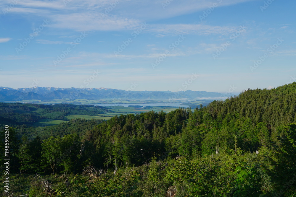 Obraz premium Liptovska Mara, Slovakia, between Tatra mountains. Panoramic View of Mountain Range and Lake Over Lush Green Forest Canopy.