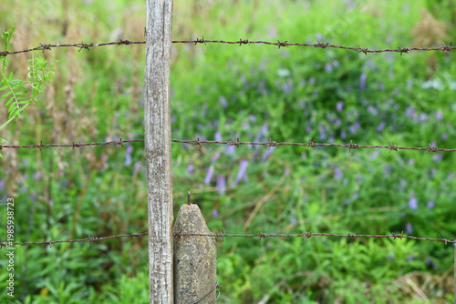 古いコンクリートの塀と有刺鉄線
