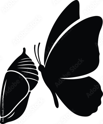 Silhouette butterfly emerging from a chrysalis for metamorphosis vector design