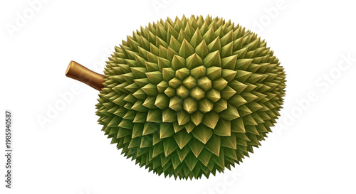 Isolated durian fruit with a spiky outer shell and short stem is presented in a studio shot against a clean white background, highlighting its unique texture and natural green and brown