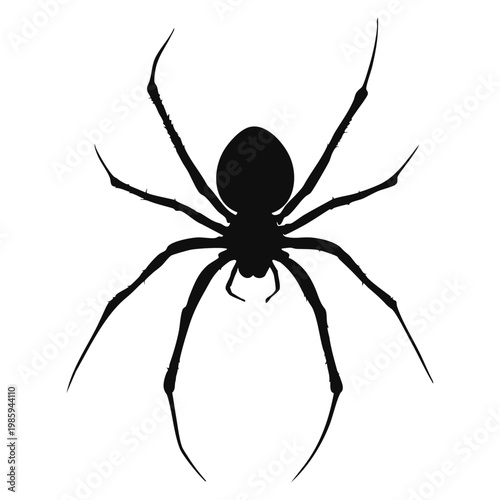 A spider silhouette is shown against a white background. It displays the body shape and long legs. The focus is on the spider's form without any colors or distractions