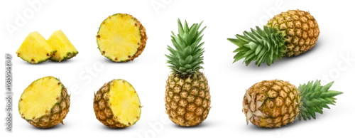 Obraz  z motywem Isolated pineapples collection. Whole pineapple, cut in a half of pineapple, slices of ananas isolated set.