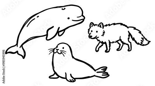 Black and White Line Art of Beluga Whale, Seal, and Arctic Fox
