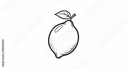 Black and white illustration of a lemon with a leaf