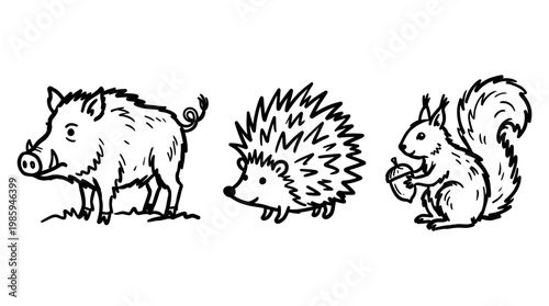 Black and White Line Art of a Wild Boar, Hedgehog, and Squirrel with Acorn