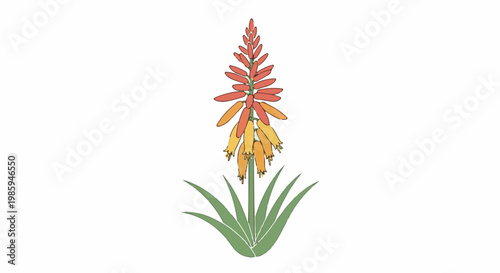 Brightly colored spiked flower with green leaves