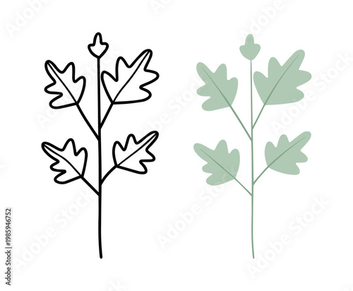 Jagged lobe leaf botanical branch, Minimalist Botanical Set