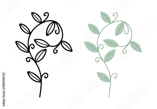 Minimalist botanical vine with leaves, Minimalist Botanical Set