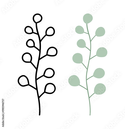 Circle leaf botanical stem drawing, Minimalist Botanical Set