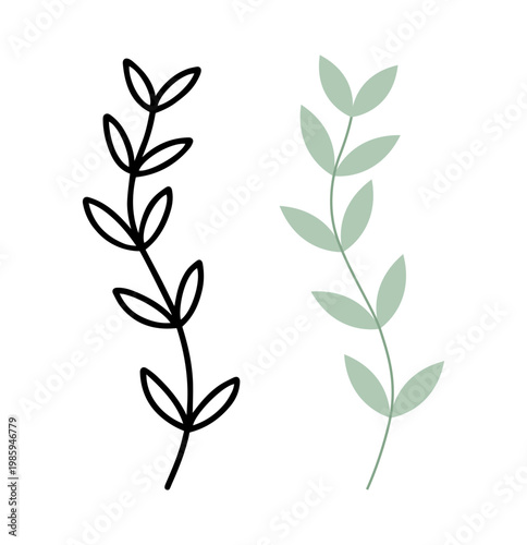 Simple alternate leaf branch design, Minimalist Botanical Set