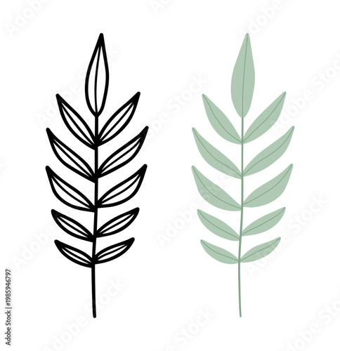 Sharp pointed leaf botanical branch, Minimalist Botanical Set