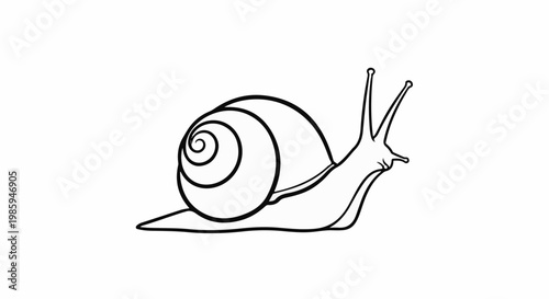 Black and white line art of a snail with a spiral shell on a white background