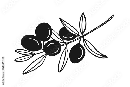 An olive branch with ripe olives and leaves. Minimalist line art illustration in sketch style, hand-drawn vector