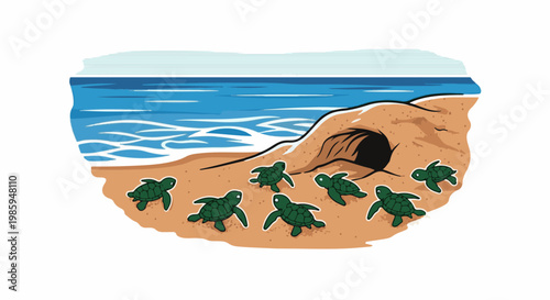 Baby sea turtles emerge from a sand dune heading toward the ocean waves