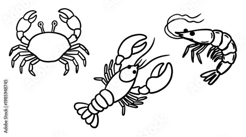 Black and White Line Art of Crab, Lobster, and Shrimp for Seafood Industry