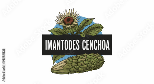 Artistic illustration of a blossoming plant and its fruit against a blue circle