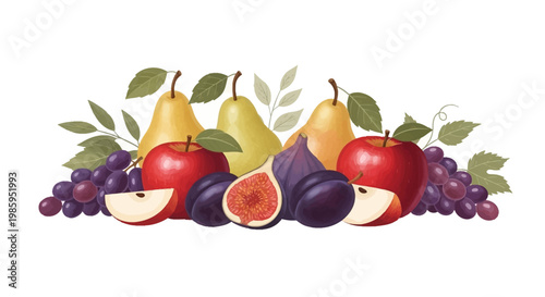 A colorful arrangement of fresh fruits including pears, grapes, apples, figs, and plums is displayed against a bright white backdrop in a still life composition with soft lighting
