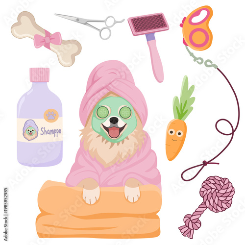 Cute Pomeranian Dog Spa and Grooming Collection, Pet Care Vector Illustration on a transparent background