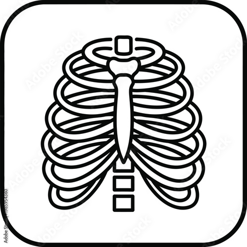 Human rib cage illustration outlines the thoracic cavity and spine bones.
