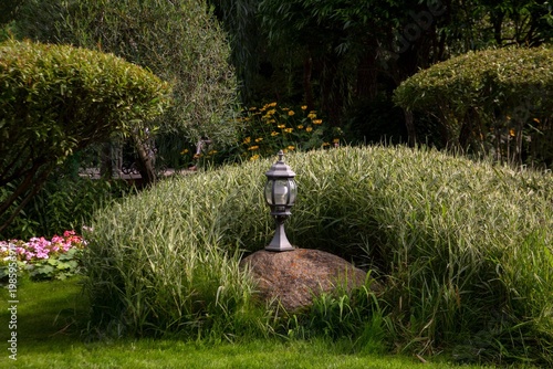 A fragment of a landscape park with lush, diverse plants.