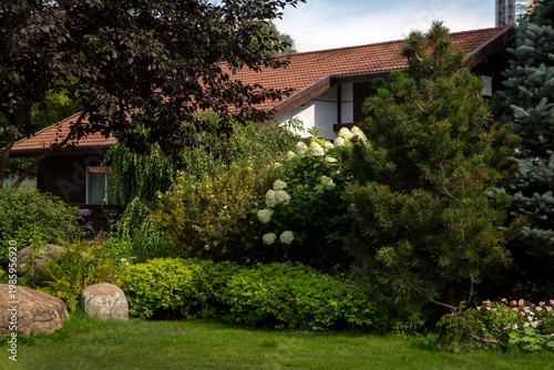 A fragment of a landscape park with lush, diverse plants.