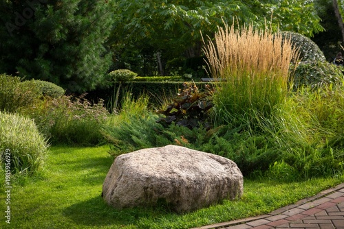 A fragment of a landscape park with lush, diverse plants.
