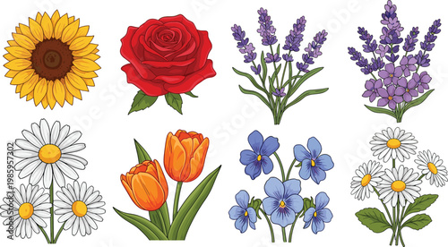 Colorful Flower Collection Vector Illustration Featuring Sunflower Rose Lavender Tulip Daisy and Wildflowers Isolated on Light Background for Botanical Design Projects