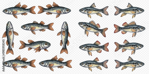 Watercolor illustration of various small fish, perfect for aquatic and wildlife designs.