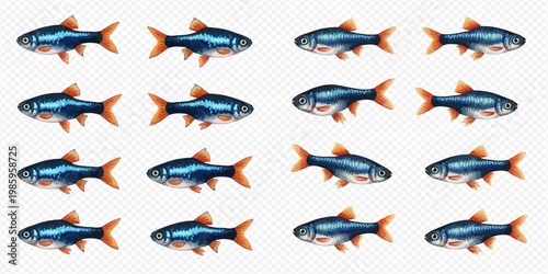 Illustration of a group of small blue fish with orange fins swimming in a pattern.
