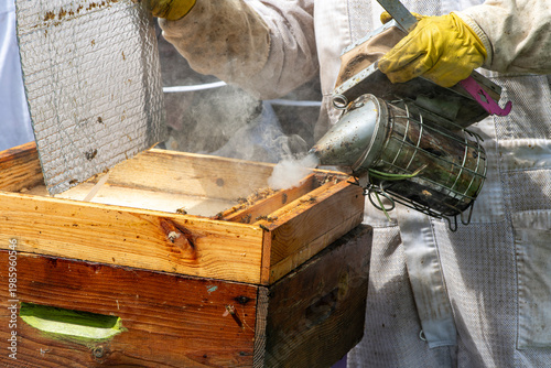 Bilde på lerret Apiculteur utilisant un enfumoir sur une ruche en bois pour calmer les abeilles