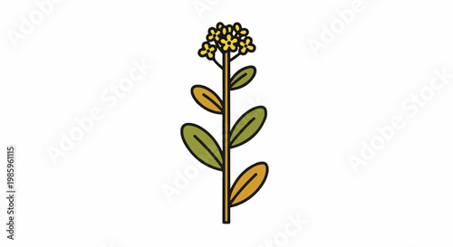 Yellow flowering plant with green and yellow leaves