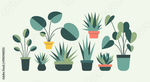 A collection of potted plants and succulents.