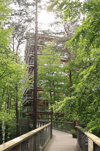 Blick von dem Heringsdorfer Baumwipfelpfad auf die Naturlandschaft der Ostseeinsel Usedom	