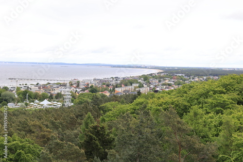 Blick von dem Heringsdorfer Baumwipfelpfad auf die Naturlandschaft der Ostseeinsel Usedom	