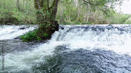 Rushing river water cascading over a weir in a lush green forest