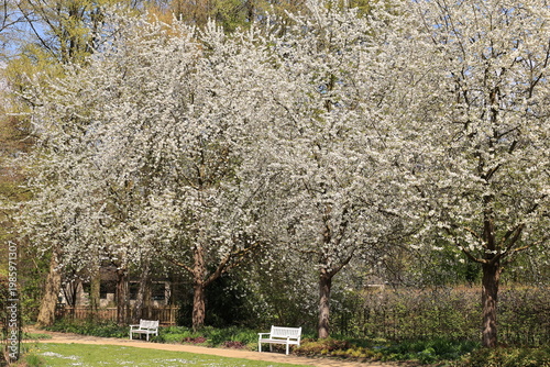 Frühling im Botanischen Garten der Stadt Gütersloh in Nordrhein-Westfalen