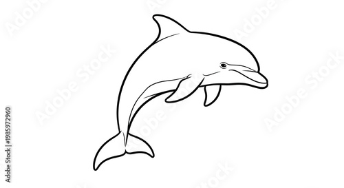 Dolphin Vector Illustration, Minimalist Black and White Line Art Graphic for Marine Life Design Projects