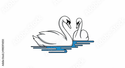 Two elegant white swans, one larger than the other, appear to gaze at each other on blue water