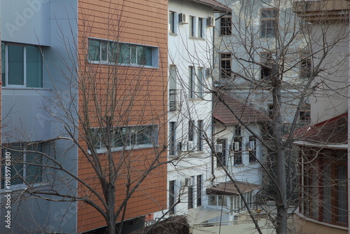 A pattern of tree branches against the background of a modern building. Urban sketches.