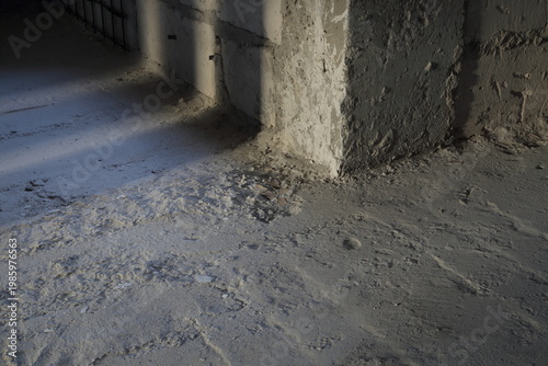 Shadows on a concrete wall in an abandoned building. Black and white pattern.