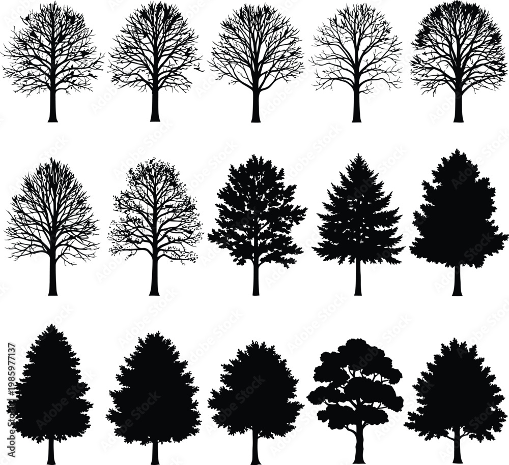 Fototapeta premium Collection of bare and full tree silhouettes in black