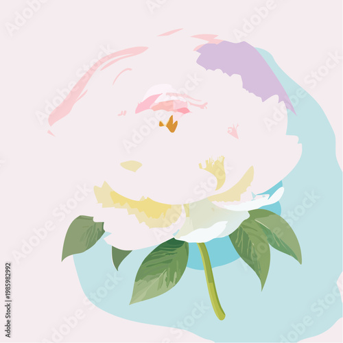 Eine elegante weiße Pfingstrose steht im Mittelpunkt vor einem sanften Pastell-Gradient-Hintergrund