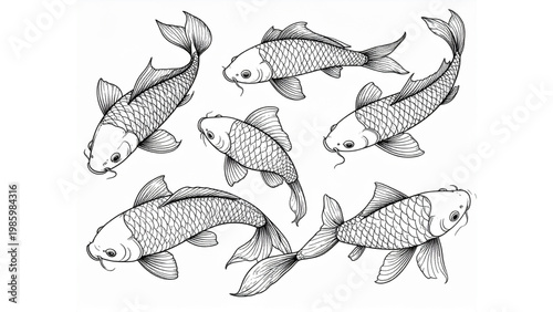 Realistic Koi Fish Line Sketch – Freshwater Fish Vector Illustration