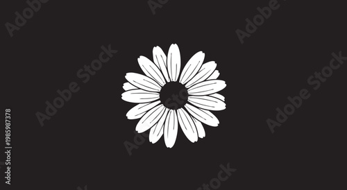 white flower on black background