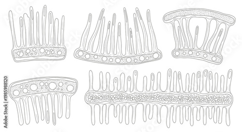 Microscopic biological structures diagram for scientific education.