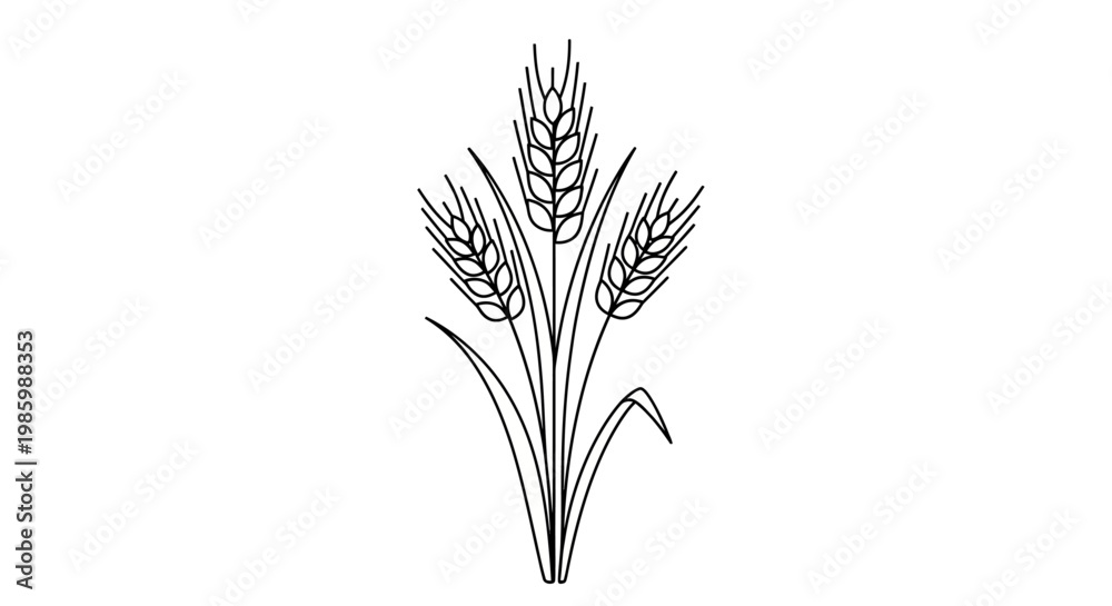 Fototapeta premium Line drawing of wheat stalks with leaves on a white background.