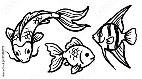 Black and White Line Art of Three Different Fish Types