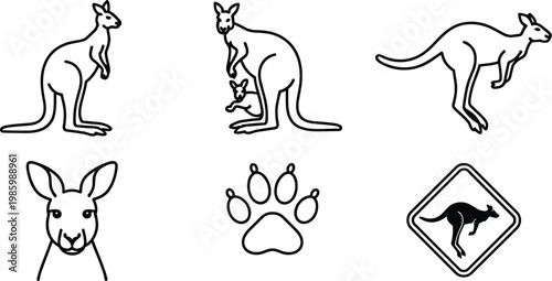 Collection of kangaroo icons and symbols marsupial